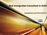 Best Immigration Consultant in Delhi