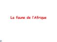 La%20faune%20de%20l PowerPoint PPT Presentation
