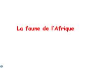 La%20faune%20de%20l