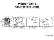 Mullrendzina WRB: Rendzic Leptosol
