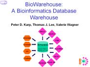 BioWarehouse: A Bioinformatics Database Warehouse