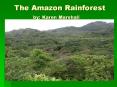 The Amazon Rainforest      by: Karen Marshall PowerPoint PPT Presentation