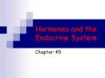 Hormones and the Endocrine System PowerPoint PPT Presentation