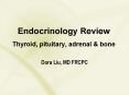 Endocrinology Review Thyroid, pituitary, adrenal PowerPoint PPT Presentation