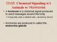 Ch35: Chemical Signaling w/i Animals w/ Hormones PowerPoint PPT Presentation