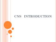 CNS%20%20INTRODUCTION