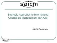 Strategic Approach to International Chemicals Management (SAICM)