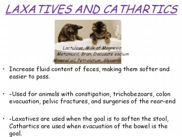 ANTIULCER MEDICATIONS
