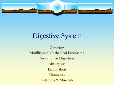 Digestive System