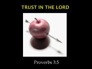 Trust In The Lord