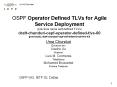 OSPF Operator Defined TLVs for Agile Service Deployment (previous name self-defined TLVs) draft-chunduri-ospf-operator-defined-tlvs-00 (previously: draft-chunduri-ospf-self-defined-sub-tlvs-03) PowerPoint PPT Presentation
