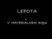 LEPOTA V MATERIALNEM RAJU