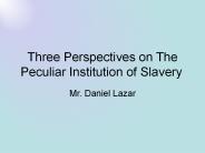 Three%20Perspectives%20on%20The%20Peculiar%20Institution%20of%20Slavery