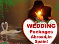 Celebrate Your Wedding at Some Distant Land Now to Make It Special PowerPoint PPT Presentation
