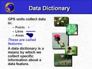 Data Dictionary