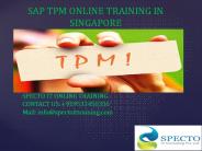 sap tpm online training in singapore