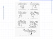 Programs and Projects