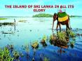 The Island of Sri Lanka in All its Glory - Thomas Cook PowerPoint PPT Presentation