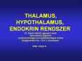 THALAMUS, PowerPoint PPT Presentation