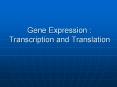 Gene Expression : Transcription and Translation PowerPoint PPT Presentation