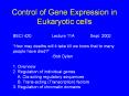 Control of Gene Expression in Eukaryotic cells PowerPoint PPT Presentation