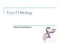 Year 13 Biology PowerPoint PPT Presentation