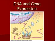DNA and Gene Expression