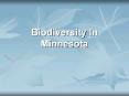 Biodiversity In Minnesota PowerPoint PPT Presentation