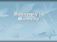 Biodiversity In Minnesota