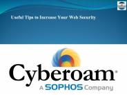 Useful Tips to Increase Your Web Security