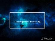 transcriptomic sequencing service of CD Genomics