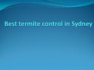 Best termite control in Sydney