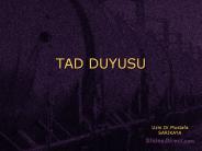 TAD DUYUSU