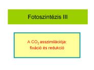 Fotoszint