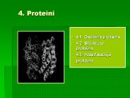 4. Proteini