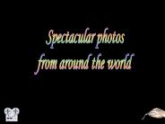 Spectacular photos