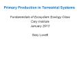 Primary Production in Terrestrial Systems PowerPoint PPT Presentation
