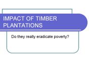 IMPACT OF TIMBER PLANTATIONS