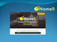 Brandable Domain Names
