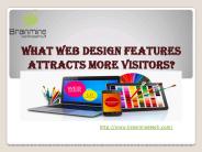 What web design features attracts more visitors?