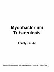 Mycobacterium Tuberculosis