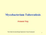 Mycobacterium Tuberculosis