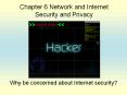Why be concerned about Internet security? PowerPoint PPT Presentation
