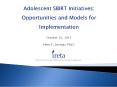 Adolescent SBIRT Initiatives: Opportunities and Models for Implementation PowerPoint PPT Presentation