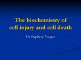 The biochemistry of cell injury and cell death PowerPoint PPT Presentation