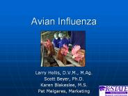 Avian Influenza