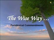 The Wise Way 