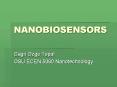 NANOBIOSENSORS PowerPoint PPT Presentation
