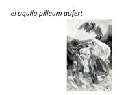 ei aquila pilleum aufert