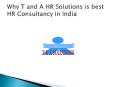 Best Job Consultancy in India PowerPoint PPT Presentation